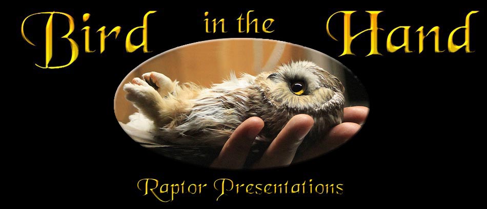 Raptor Presentations Banner